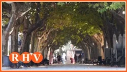 Carcaixent debates the delay in grants for local associations