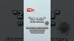 24 hours 23 09 2026 Ticks become especially dangerous