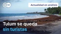 🟣 The Fall of Tulum: How Crime and Poor Decisions Emptied Mexico’s Tourist Paradise