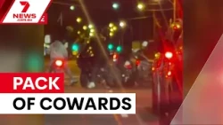Woman bashed and tasered in motorcycle gang attack | 7NEWS