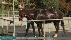 Megérkeztek a versenyzők a Nemzeti Vágtára - 2026.10.02.