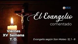 Gospel 📖 commentary July 17🕊️