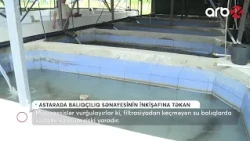 Astarada balıqçılıq və akvakultura müəssisələrinin istehsal gücü artırılır