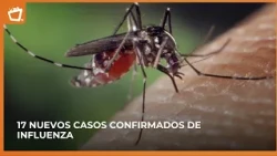 Ministry of Health reports a decrease in pneumonia and malaria cases
